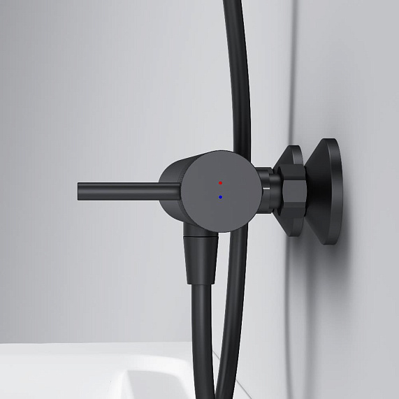Смеситель для душа AM.PM Libre F6020022 черный-5