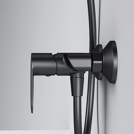 Смеситель для душа AM.PM Above F9X20022 черный-5