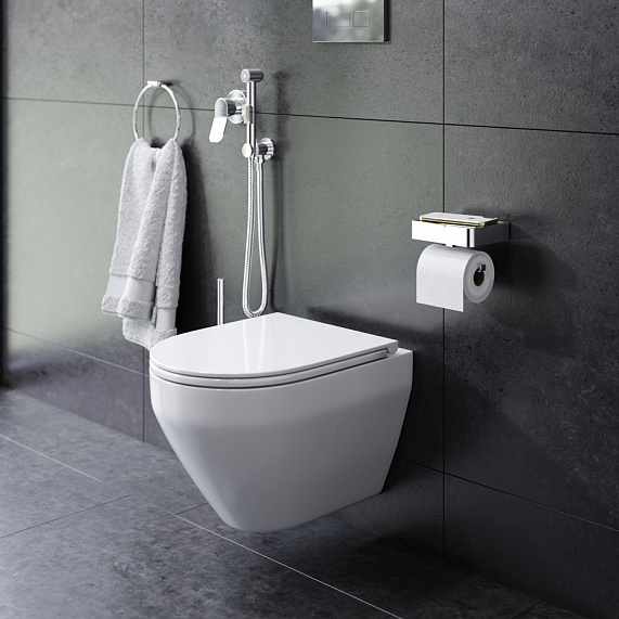 Секция гигиены AM.PM Spirit 2.0 CK70HA-2