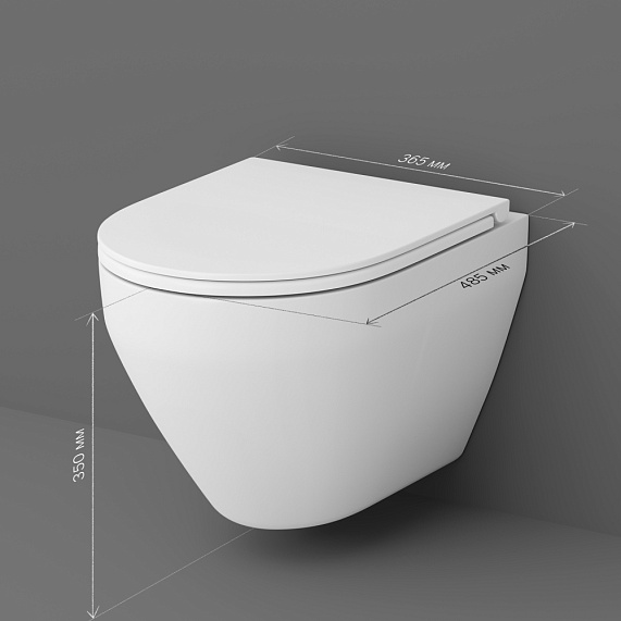 Унитаз подвесной AM.PM Spirit V2.0 C701700SC безободковый с сиденьем микролифт, белый-9