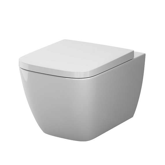Унитаз подвесной AM.PM Gem C901901SC безободковый с сиденьем микролифт, белый-9