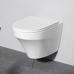 Унитаз подвесной AM.PM Inspire C501700WH безободковый